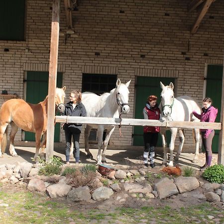 Gaestehaus Tobringen 20 Екстериор снимка